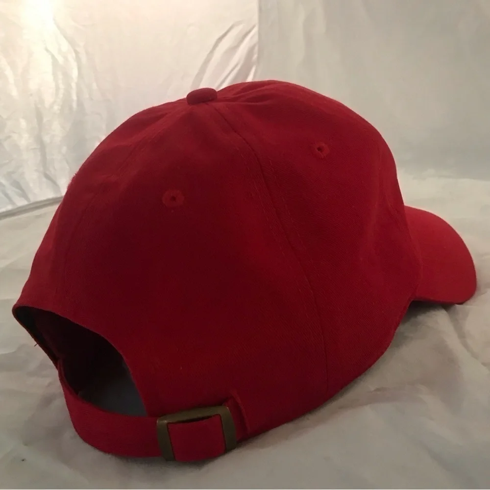 Fan Favorite Minnesota Twins Baseball Cap